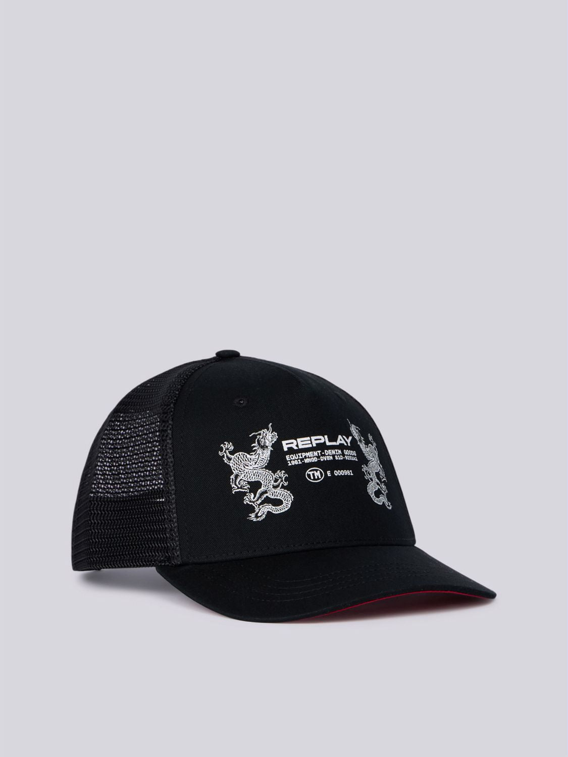 CAP WITH DRAGONS GRAPHIC | AX4344 A0406 0098