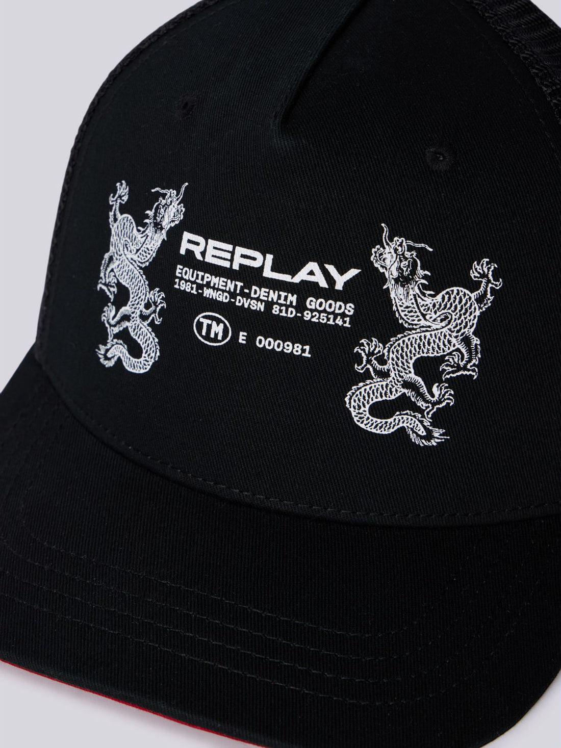 CAP WITH DRAGONS GRAPHIC | AX4344 A0406 0098